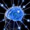 Visit the group Global Minds