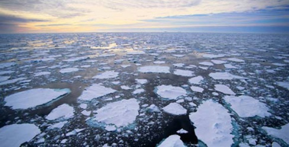 Melting Ice