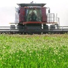 Food Security